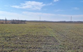 Teren intravilan Peris 12euro - Poză 6