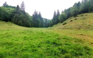 Teren intravilan langa Poiana Brașov, 52 mp front strdal, Utilitati in zona - Poză 8