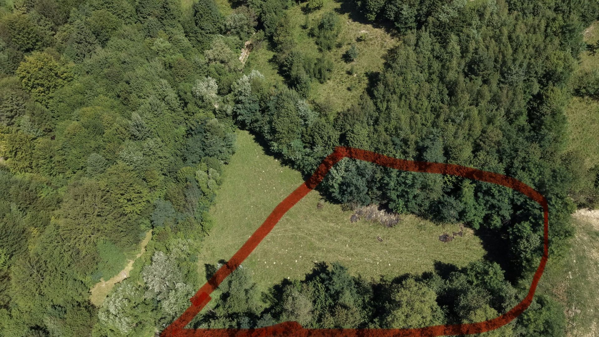 TEREN DE VÂNZARE – ZĂRNEȘTI 2200 Mp - Poză 4