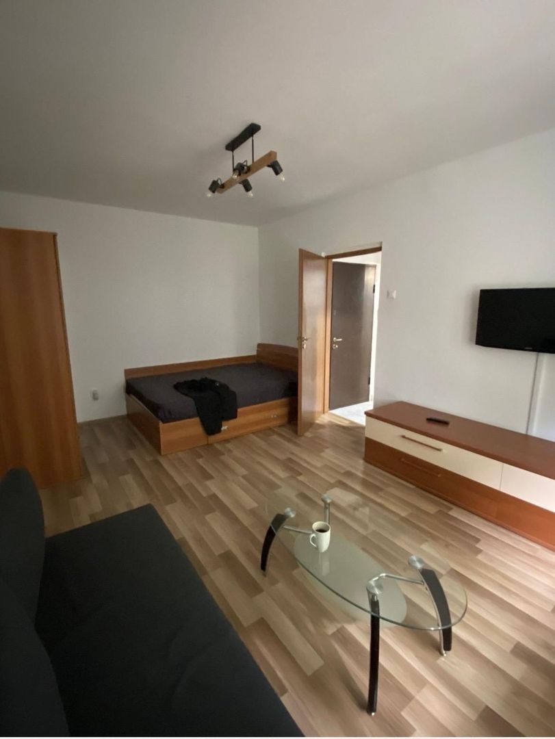 Garsonieră complet mobilata si utilata - Gorjului - Poză 2