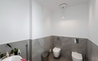 Spatiu comercial 150 mp Pipera A3 Lemon Racovita front stradal 15 m - Poză 5