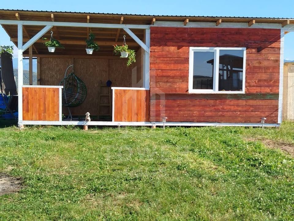 Grădină 862 mp cu cabanuta și pomi fructiferi – între Tălmaciu și Sadu - Poză 4