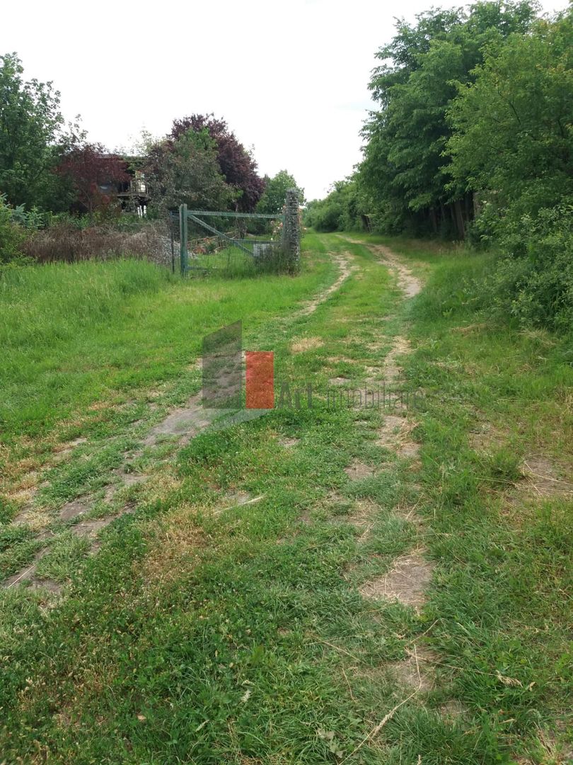 Teren cu iesire la lac - Poză 6