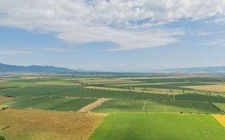 Teren intravilan | Satu Nou | Halchiu | Curent Gaz Apa - Poză 9