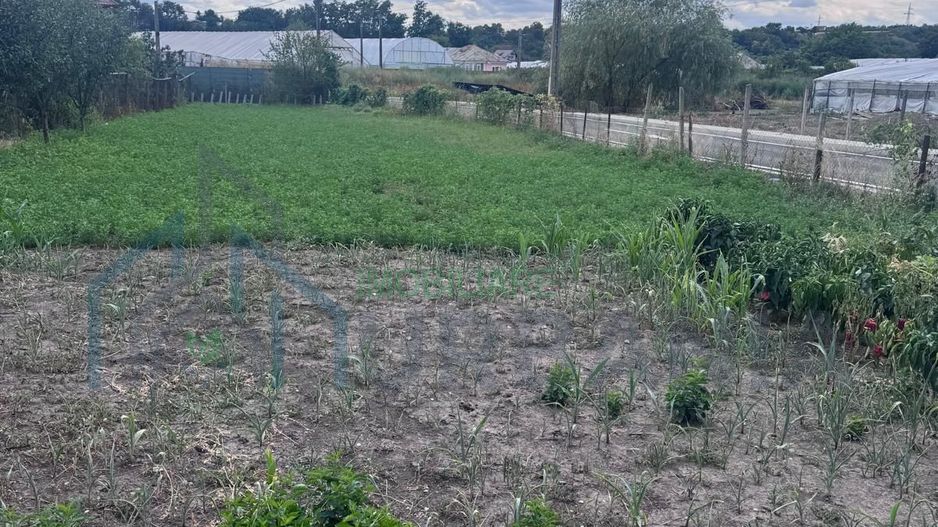 Casă de vânzare în Târgu Frumos, strada Tudor Vladimirescu - Poză 6