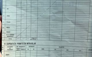 Teren Intravilan,Sanmartin CJ - Poză 7