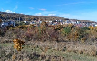 Teren intravilan 4500mp-oportunitate investitii-panoramic-Zona Wings - Poză 1