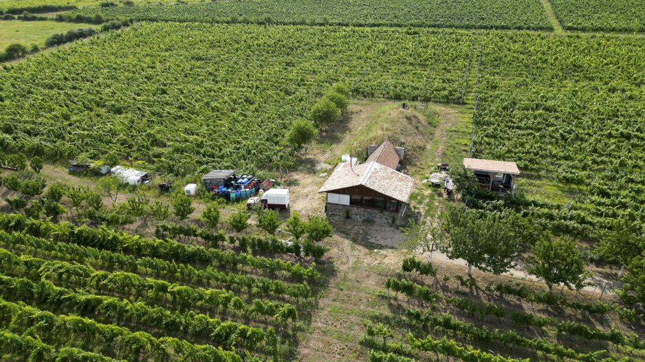 Vie Tradițională „Halta Lupilor” - Poză 40