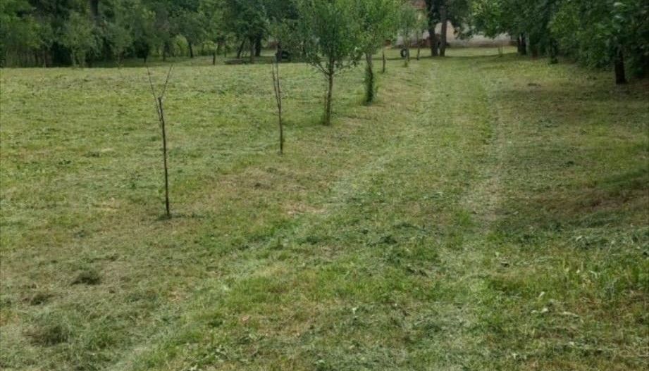 Teren 36 Ari intravilan Zona Strandului - Poză 2