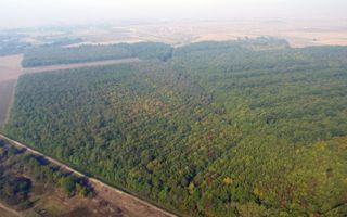 TEREN 847 MP SAG  - ZONA MANASTIRE - Poză 5