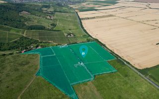 Vie Tradițională „Halta Lupilor” - Poză 51