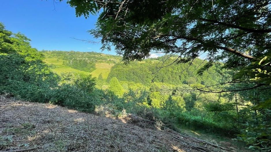 Teren zona turistica Rosia - Poză 10