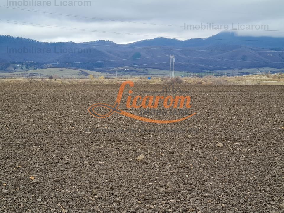 Teren extravilan 2,9 HA,intre Cristian si Vulcan - Poză 2