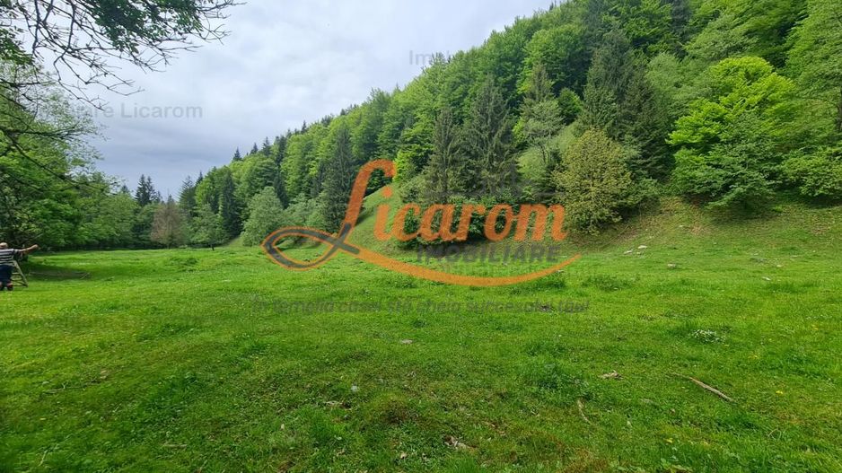 13005 mp teren faneata in Bran Simon cu fornt de 57 mp - Poză 2