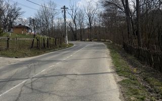 Teren intravilan la asfalt 2100 mp deschidere 21 mp la asfalt! - Poză 9