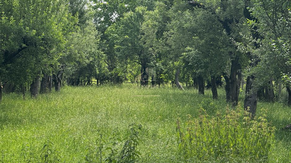 CASA 3 CAMERE, PLUS ANEXE, TEREN 2141 MP, BEREVOIESTI, ARGES - Poză 31