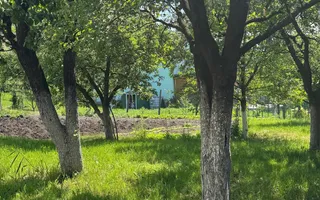 Case de vanzare Sibiu | Casă 3 camere | Gusterița, teren 2381 mp - Poză 14