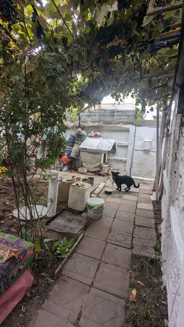 De vanzare casa + curte 197mp, zona Salaj - Poză 7