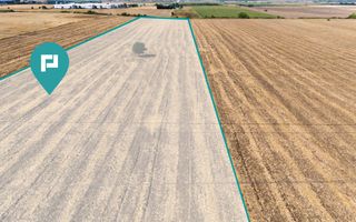 Teren extravilan, zona Freidorf-Şagului, Timişoara - Poză 4