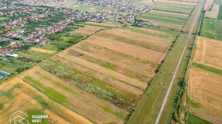 Teren intravilan 5000 mp, arabil in Sanleani - Poză 2