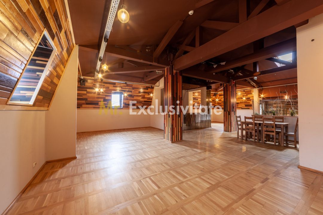 Spatiu comercial premium in vila – Bd. Republicii, Pitesti - Poză 7