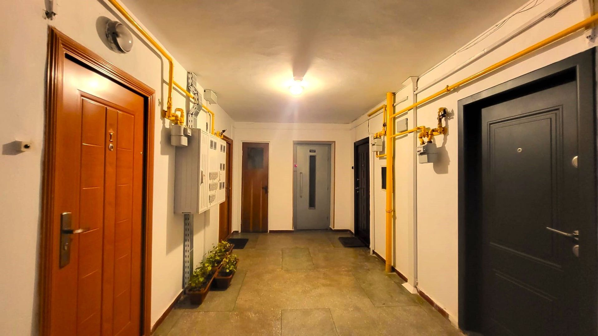 Apartament la 6 minute de gară, piata si Centru Civic, pet friendly - Poză 4