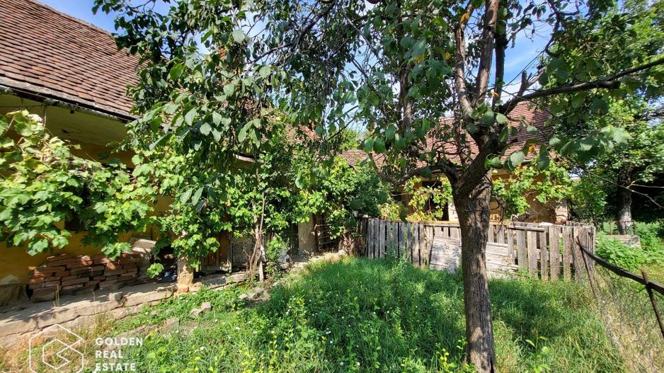 Casa cu teren de 1807 mp, Oras Lipova - Poză 7