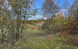 TEREN INTRAVILAN 13167 MP BUGHEA DE SUS ARGES - Poză 6