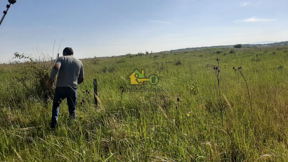 Teren Extravilan, Dealu Viilor, Lugoj - Poză 8