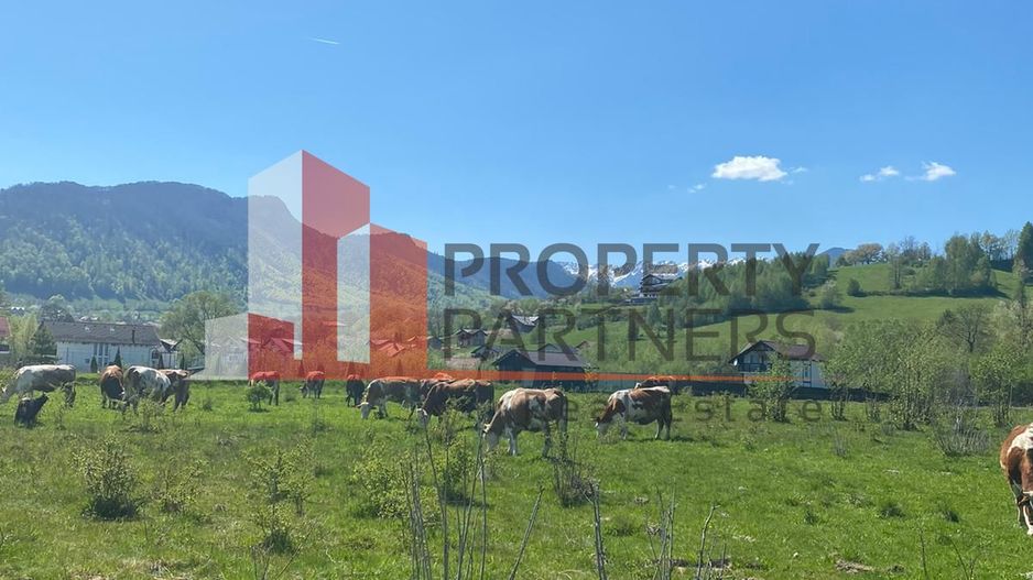 Teren Bran/ Predelut 10.663 mp. - Poză 2