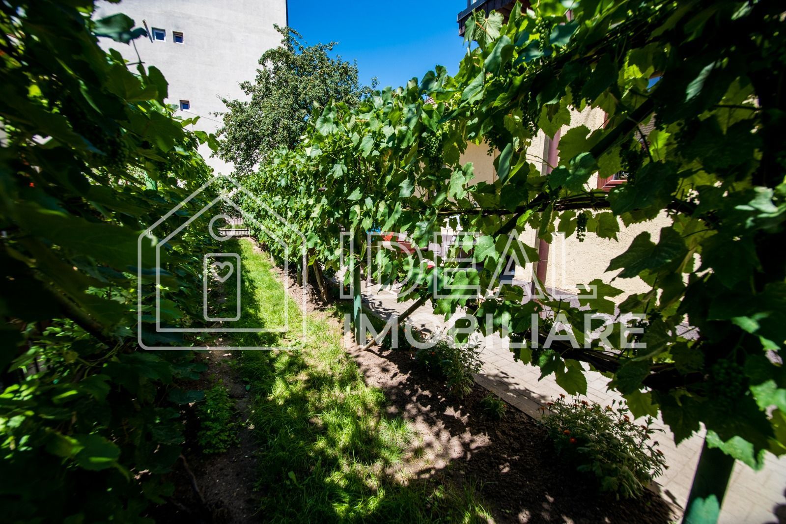 Casa Individuala cu 8 camere si 430 mp de curte, zona Calea Poplacii - Poză 31