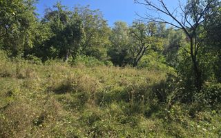 Teren intravilan de vanzare Cornu - Poză 3