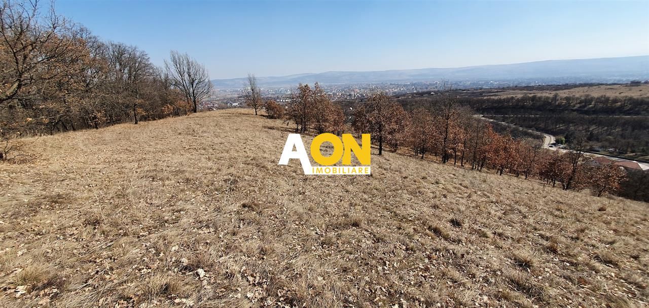 Teren ideal pentru cabana 4165 mp langa padure zona Valea Popii - Poză 2