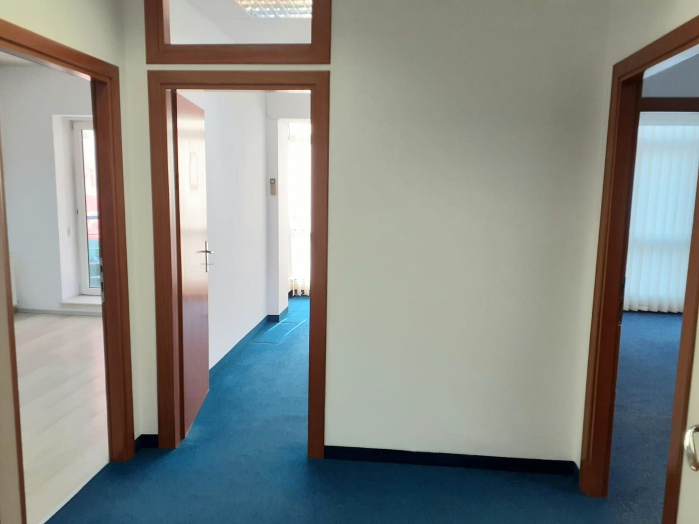 Spatiu birouri- Ion Mihalache- Ciuperca-Expozitiei - Poză 2