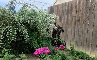 CASA INDIVIDUALA SI HALA CU TEREN  4000 MP - Poză 38