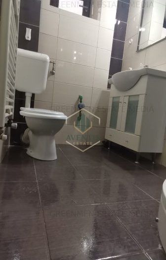 Inchiriere apartament doua camere, semidecomandat, Mosilor - Poză 14