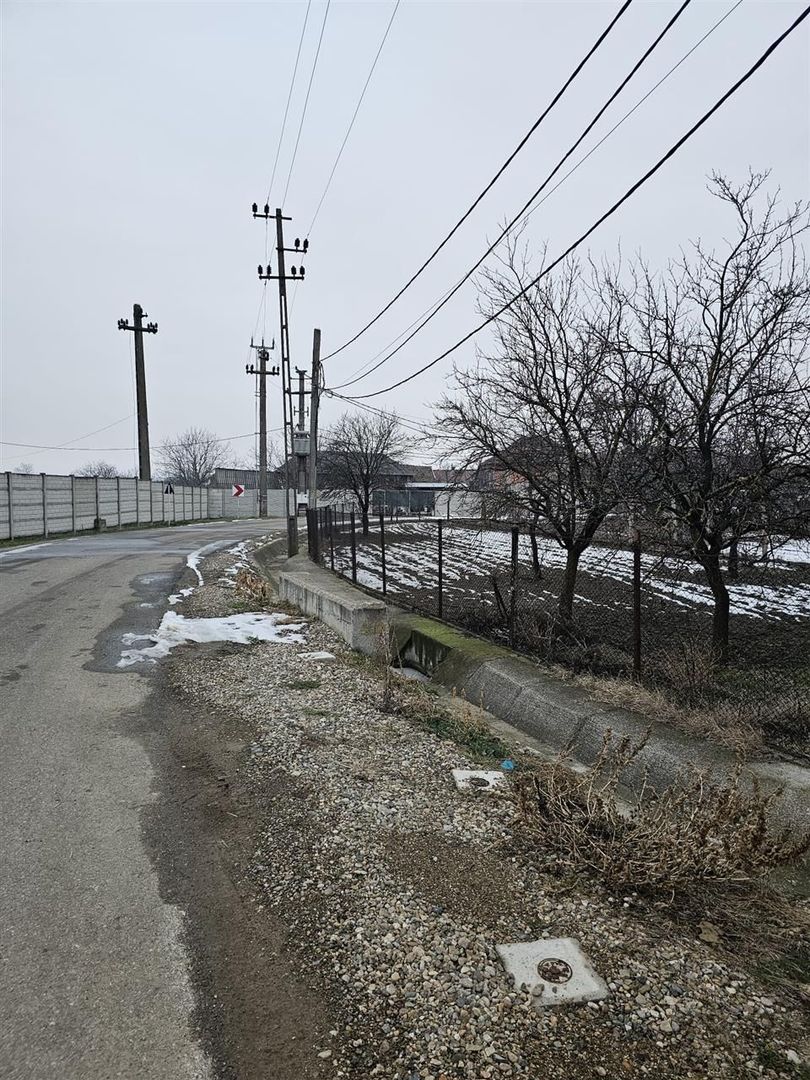 Casa Uileacu de Cris - Poză 12