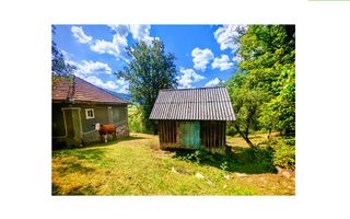 CASA TRADITIONALA, ANEXE si 46.980 mp teren partial INTRAVILAN - Poză 2