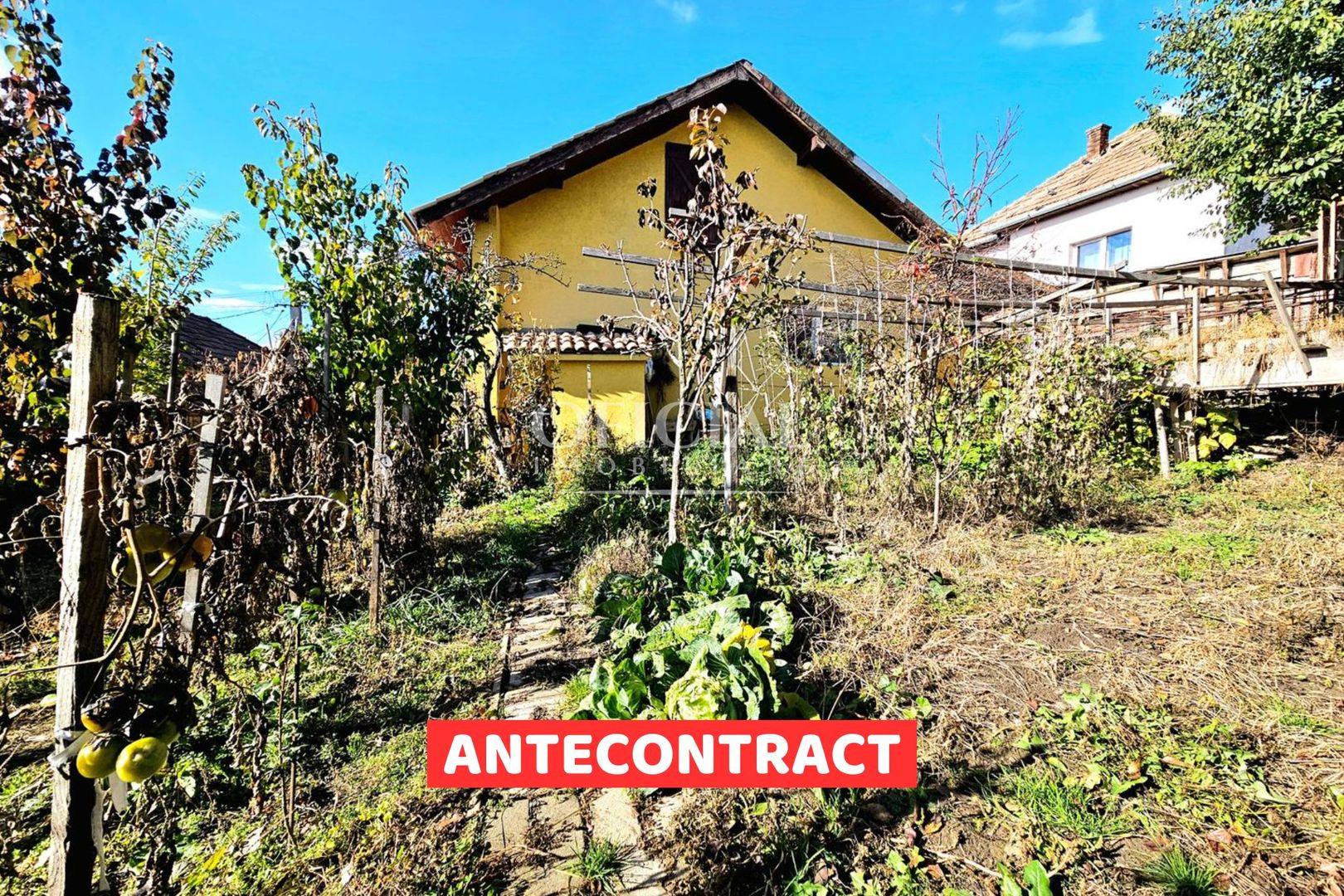 Casa individuala | 3 Camere | Teren 477 mp | Cartier Dambul Rotund! - Poză 1