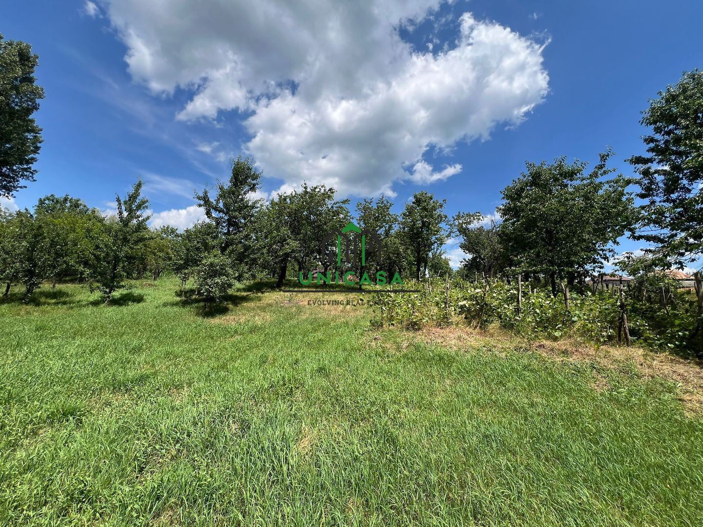 Teren Fedelesoiu/3200 mp/Intravilan - Poză 4