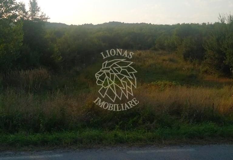 Teren 5500 mp-oportunitate investitie-pretabil cabana-Jelna - Poză 5