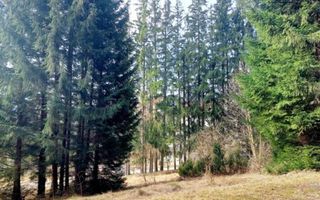 Teren intravilan în Poiana Brașov, strada Poiana Ruia - Poză 6