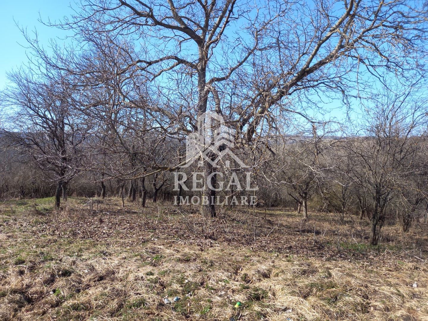 Două case de vânzare – Cerisor – teren generos 6996 mp - Poză 16