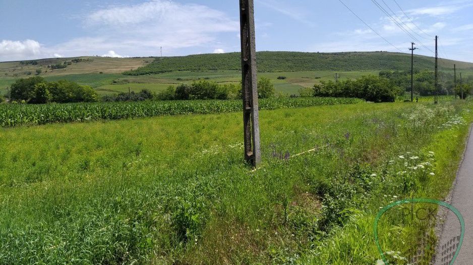 P 1037 - Teren  în județul Mureș - comuna Band - Poză 1