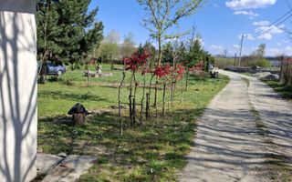 Teren Intravilan | 1150 mp | Săliște - Poză 2