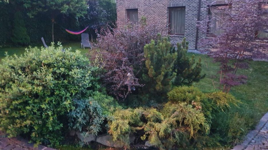 Casa individuala l 310 mp utili l 900 mp teren l garaj l Faget - Poză 6
