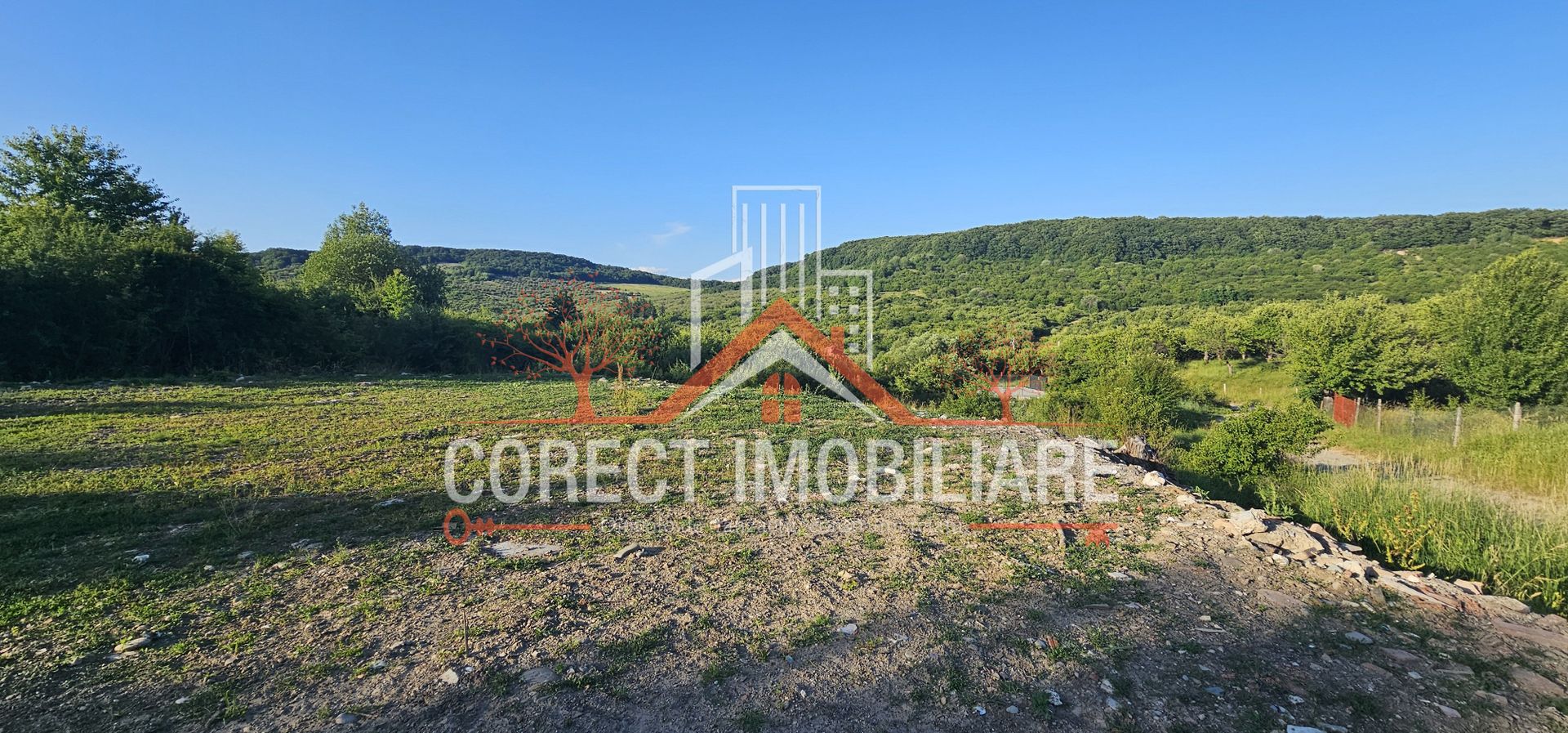 Teren extravilan 1300 mp - Poză 6