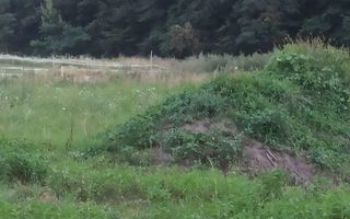 Teren intravilan I 750mp I PUZ I Urbanism I Selimbar - Poză 3