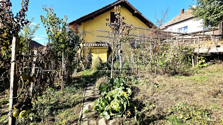 Casa individuala | 3 Camere | Teren 477 mp | Cartier Dambul Rotund! - Poză 1