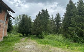 Investiție cu suflet: Pensiune de vânzare pe Valea Avrigului - Poză 1